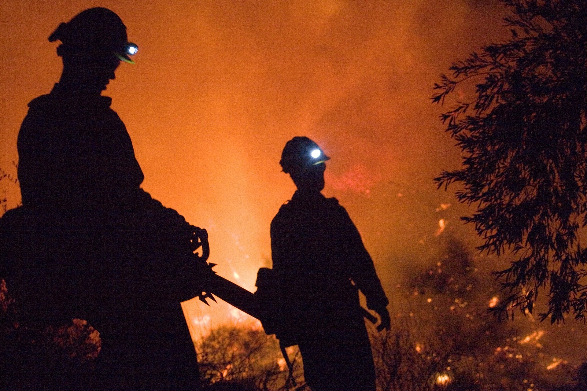 Town of Pine Forest under High Fire Danger Status: Testing images