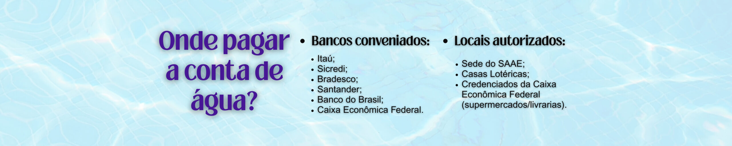 Banner 2